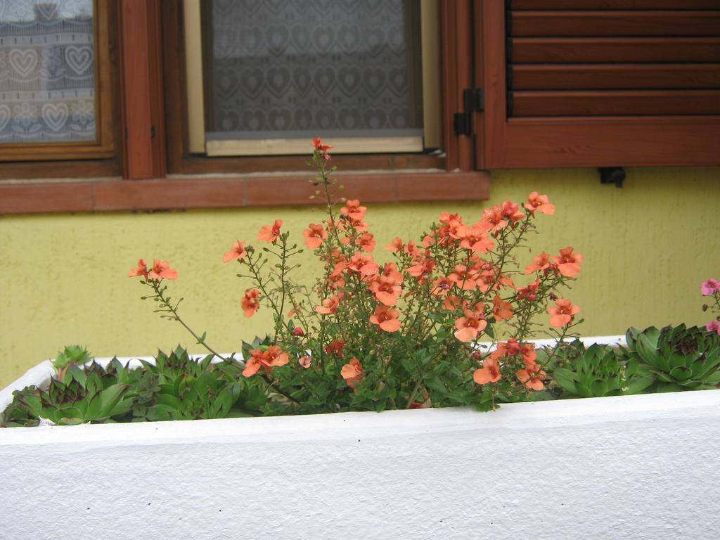 Apartment Meridiana Rovinj Ngoại thất bức ảnh